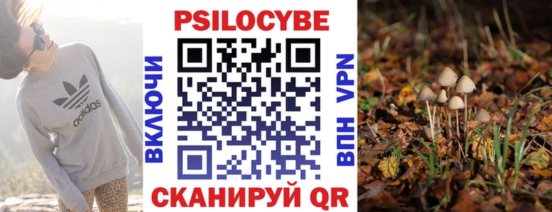 хочу наркоту Троицк Галлюциногенные грибы прущие грибы